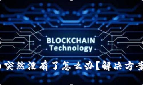 t p钱包的币突然没有了怎么办？解决方案与应对策略