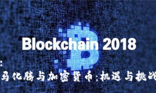 :
马化腾与加密货币：机遇与挑战