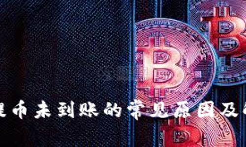 TP钱包提币未到账的常见原因及解决方案