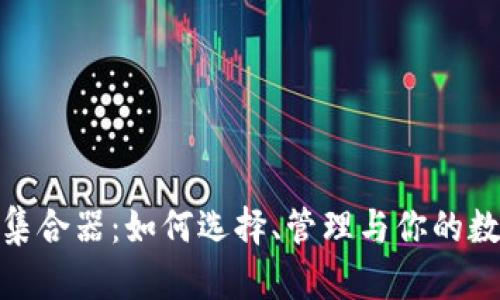 加密货币的集合器：如何选择、管理与你的数字资产组合