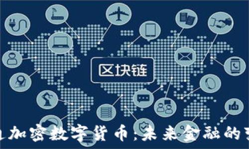   
全球流通加密数字货币：未来金融的变革之路