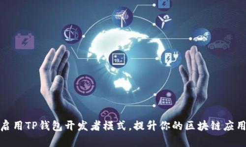 如何启用TP钱包开发者模式，提升你的区块链应用体验