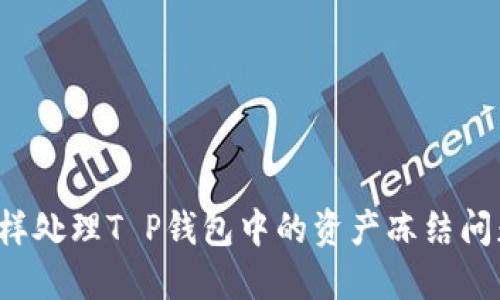 怎样处理T P钱包中的资产冻结问题？