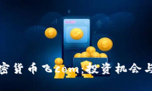 : 解密加密货币飞com：投资机会与风险分析