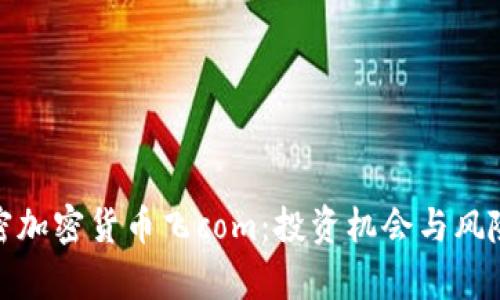 : 解密加密货币飞com：投资机会与风险分析