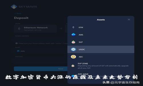 数字加密货币大涨的原因及未来走势分析