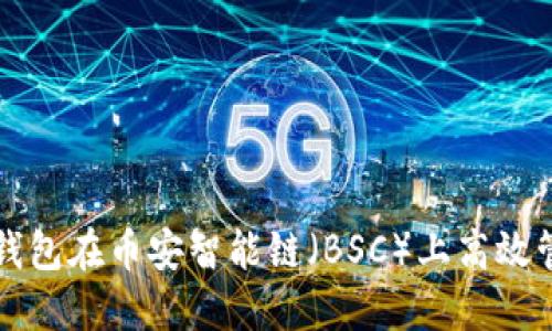 如何使用TP钱包在币安智能链（BSC）上高效管理加密资产