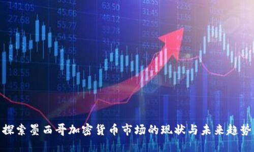 探索墨西哥加密货币市场的现状与未来趋势