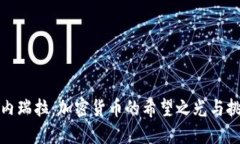 委内瑞拉：加密货币的希
