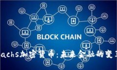 揭秘Sachs加密货币：未来金