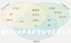 深入了解BCH（比特币现金