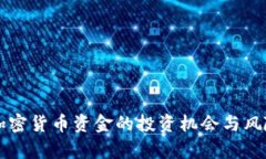 美元加密货币资金的投资