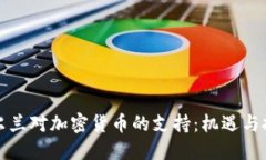 爱尔兰对加密货币的支持