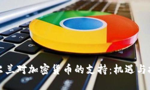 爱尔兰对加密货币的支持：机遇与挑战