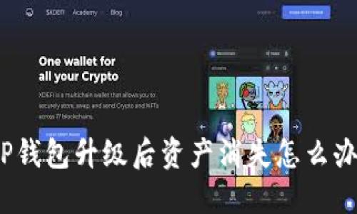 TP钱包升级后资产消失怎么办？