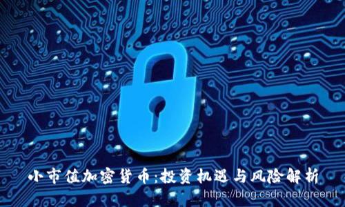 小市值加密货币：投资机遇与风险解析