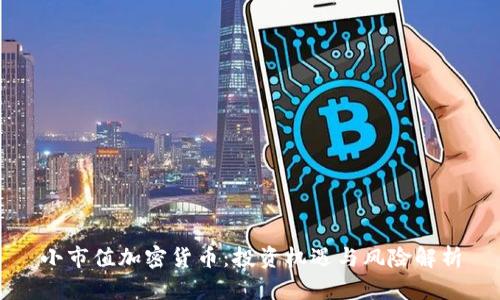小市值加密货币：投资机遇与风险解析