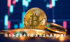 硅谷加密货币市场：是泡