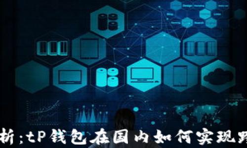 
深入解析：tP钱包在国内如何实现跨链交易