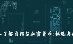 深入了解马绍尔加密货币