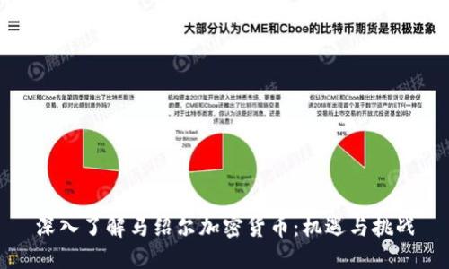 深入了解马绍尔加密货币：机遇与挑战