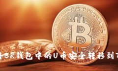 如何将BK钱包中的U币安全