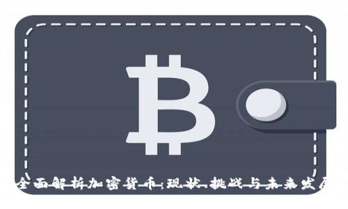全面解析加密货币：现状、挑战与未来发展
