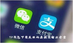  TP钱包下载失败的原因及