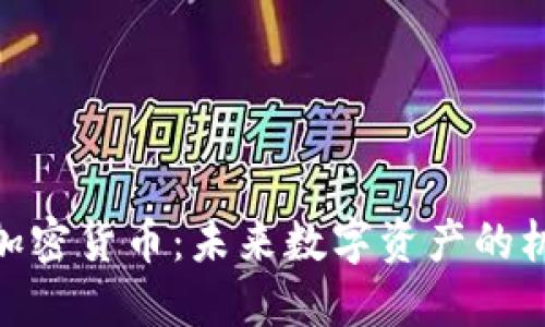 了解ACL加密货币：未来数字资产的机遇与挑战