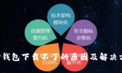  TP钱包下载不了的原因及