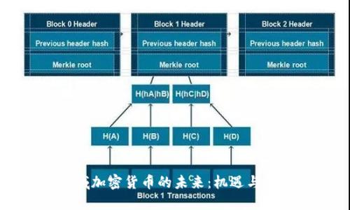 区域加密货币的未来：机遇与挑战