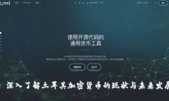 : 深入了解土耳其加密货币