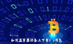  如何在苹果设备上下载