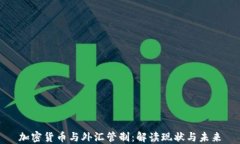 加密货币与外汇管制：解
