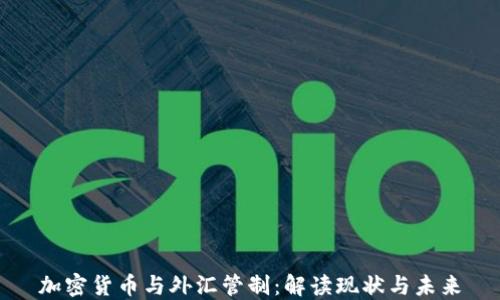 
加密货币与外汇管制：解读现状与未来