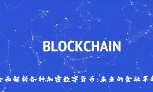 全面解析各种加密数字货币：未来的金融革命
