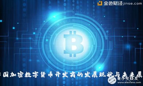 中国加密数字货币开发商的发展现状与未来展望