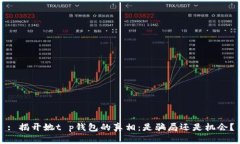 : 揭开她t p钱包的真相：是