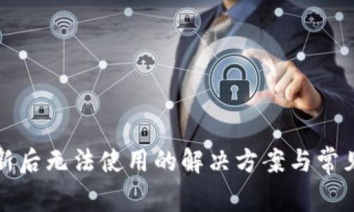 TP钱包更新后无法使用的解决方案与常见问题解析