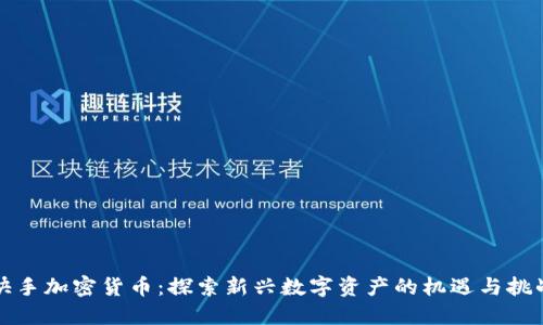 快手加密货币：探索新兴数字资产的机遇与挑战
