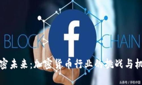 解密未来：加密货币行业的挑战与机遇