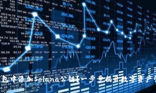 如何在TP钱包中添加Solana公链？一步步揭开数字资产管理的秘密！