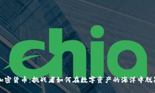 灰度加密货币：挑战者如何在数字资产的海洋中脱颖而出