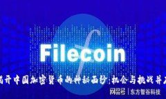 揭开中国加密货币的神秘