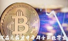TP钱包如何在元国度中开辟