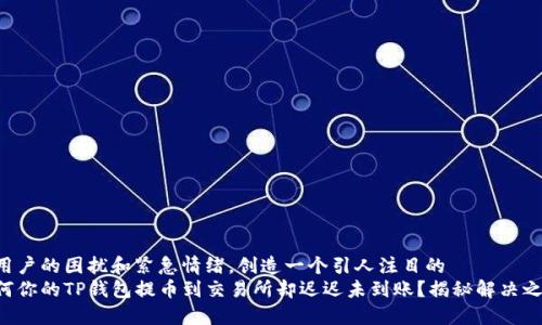 于用户的困扰和紧急情绪，创造一个引人注目的  
为何你的TP钱包提币到交易所却迟迟未到账？揭秘解决之道！