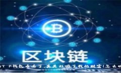 我的T P钱包币丢了，真是
