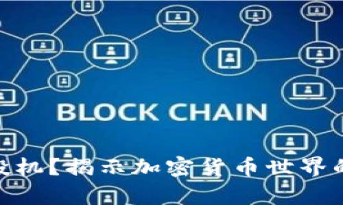 投资还是投机？揭示加密货币世界的真实面貌