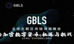 苹果商店中的加密数字货