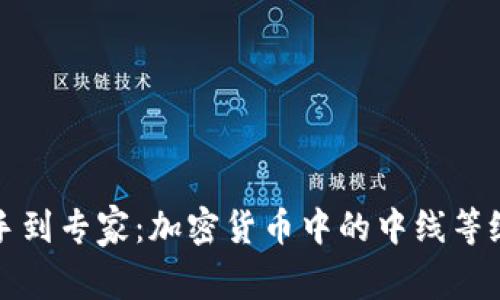 从新手到专家：加密货币中的中线等级挑战
